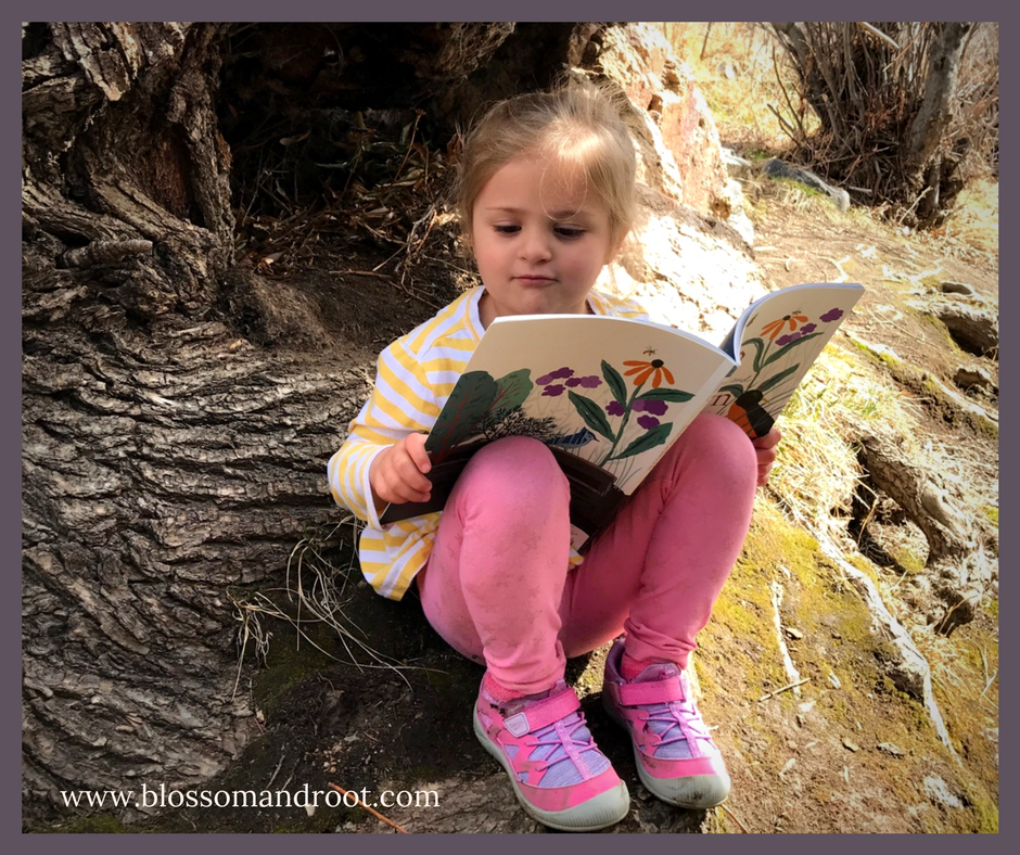 nature study and steam education in homeschool