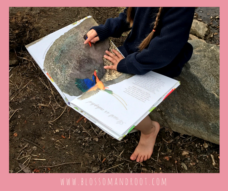 nature study and steam education in homeschool