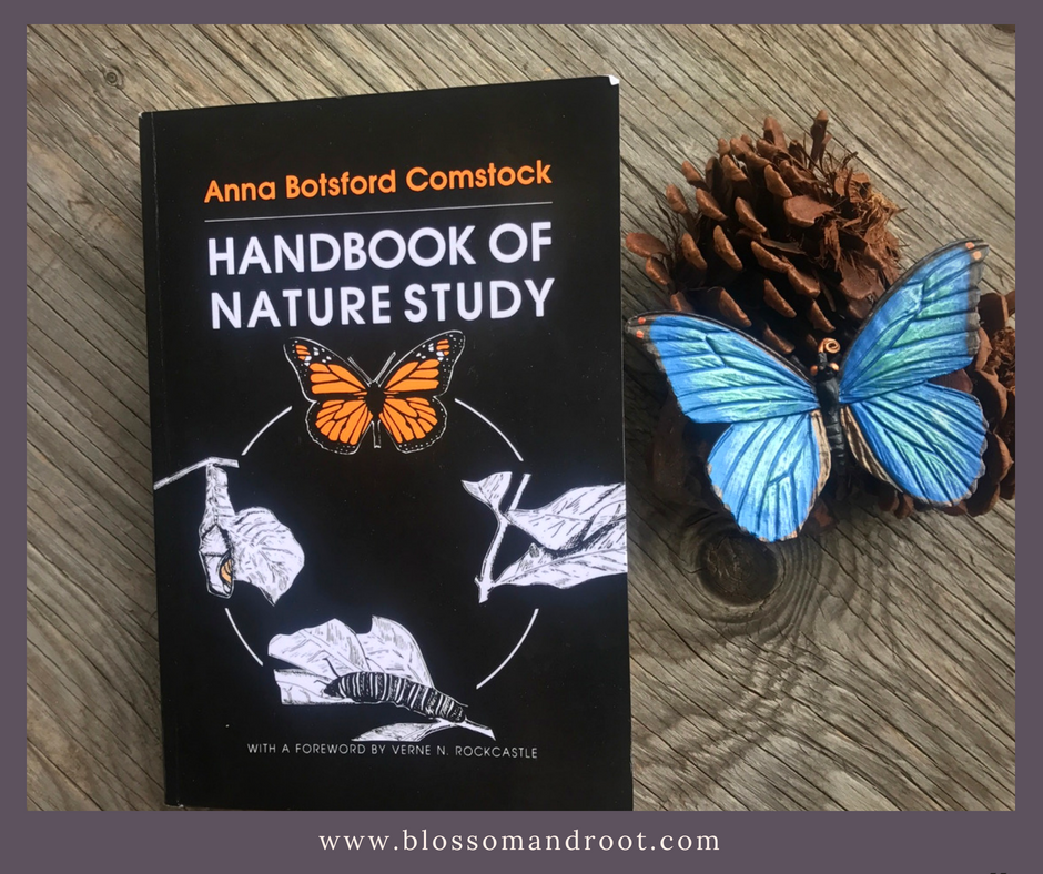 nature study books
