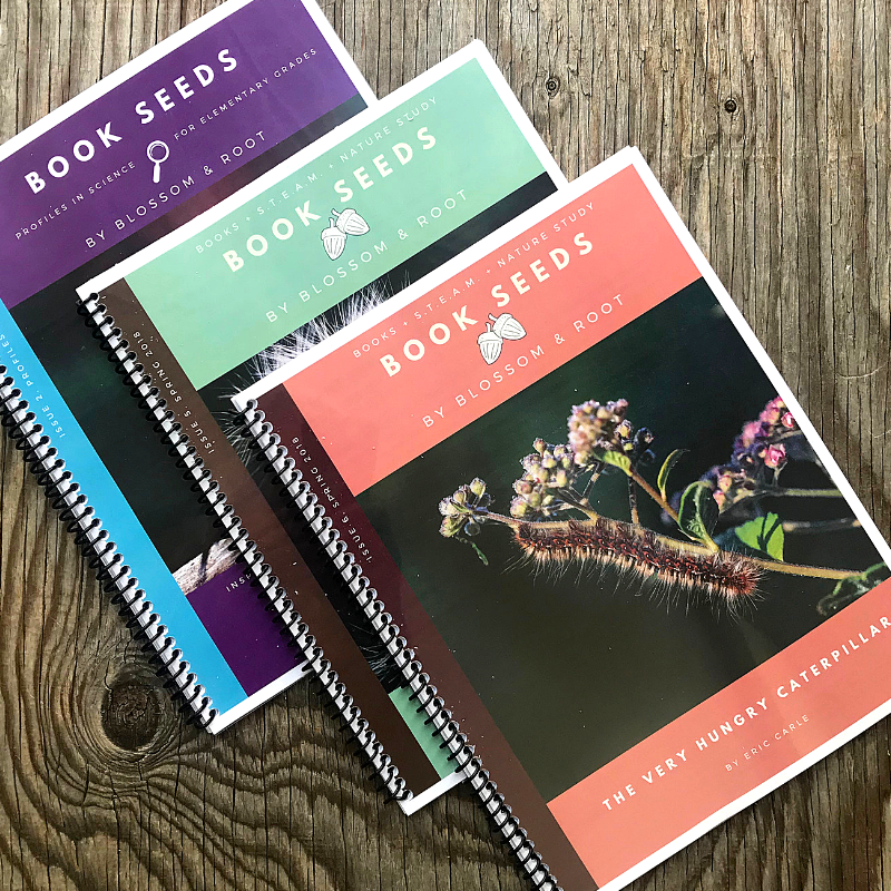 blossom and root book seeds