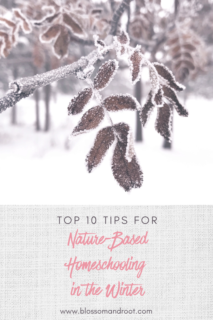 10 tips for nature based homeschooling in the winter