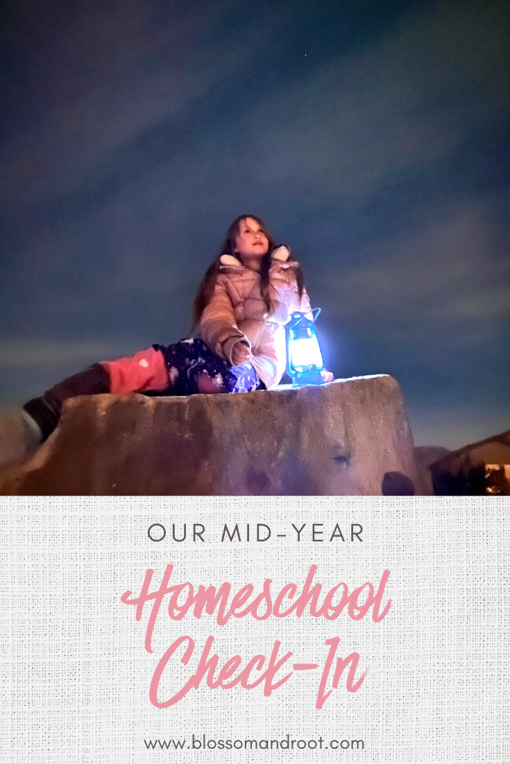 Our Mid-Year Homeschool Check-In
